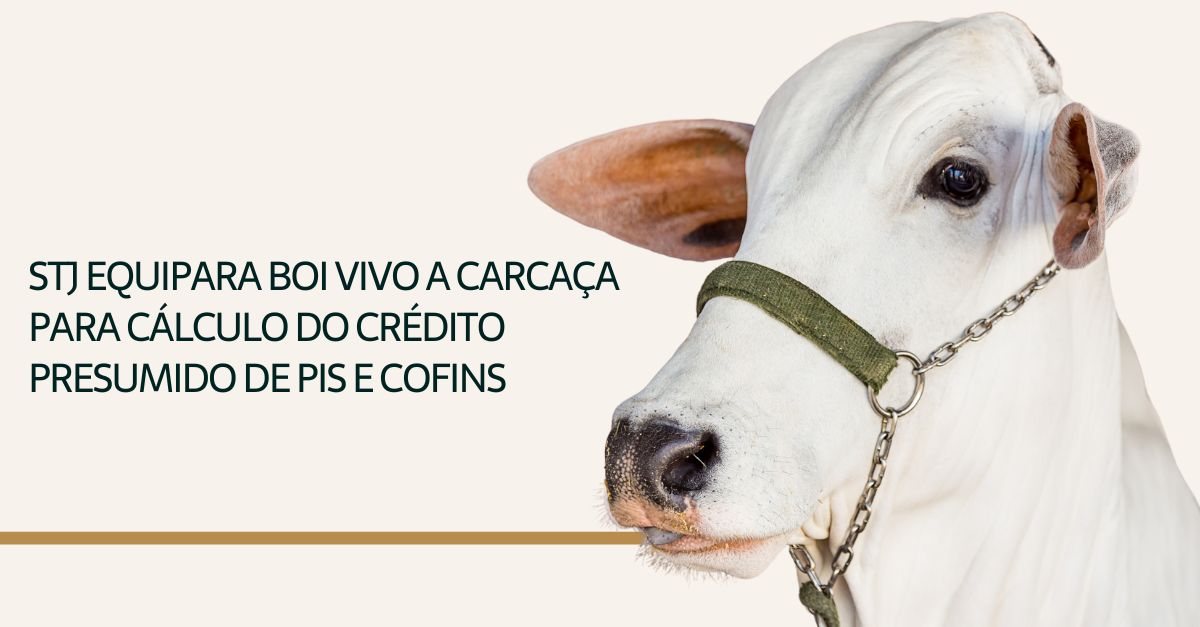 Você está visualizando atualmente STJ equipara boi vivo a carcaça para cálculo do crédito presumido de PIS e Cofins