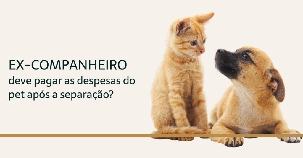Leia mais sobre o artigo Ex-companheiro não é obrigado a dividir despesas de animais de estimação após o fim da união estável